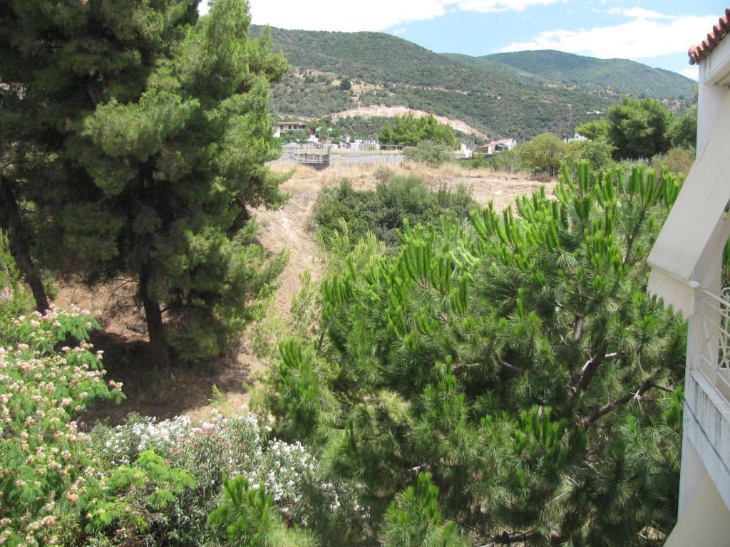 Aiolos Loutra Edipsou  Exterior photo